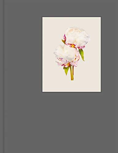 The Most Beautiful Flowers [Hardcover] Toma, Kenji