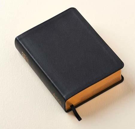 Holy Bible (invecchiato leather)--2017 church employee gift [Leather Bound] Unkn