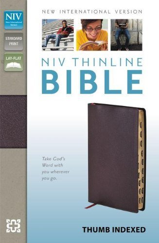 NIV, Thinline Bible, Bonded Leather, Burgundy, Indexed, Red Letter Edition Zonde