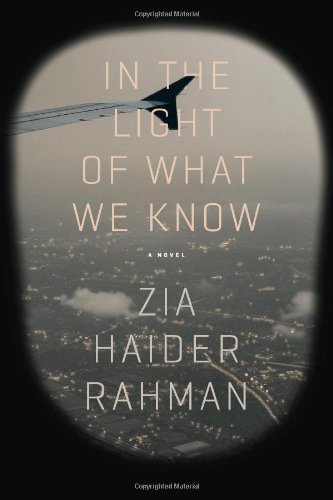 In the Light of What We Know: A Novel Rahman, Zia Haider