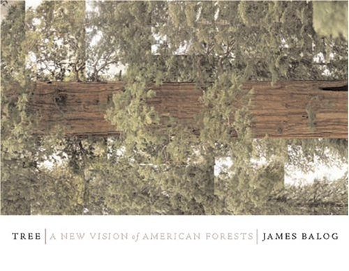 Tree: A New Vision of the American Forest Balog, Jim and Friend, David