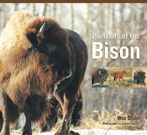 Portraits Of The Bison: An Illustrated Guide To Bison Society [Paperback] Olson,