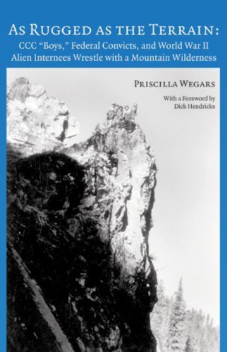 As Rugged as the Terrain (Asian American Comparative Collection Research Report)
