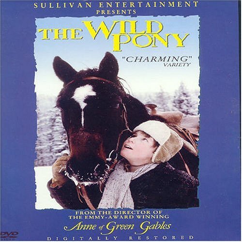 The Wild Pony [DVD]