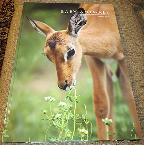 BABY ANIMALS [Hardcover] Hook, Patrick