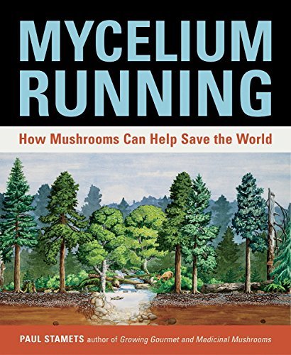 Mycelium Running: How Mushrooms Can Help Save the World [Paperback] Stamets, Pau