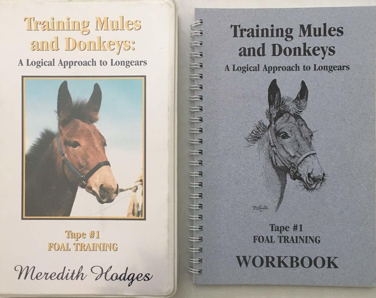 Training Mules and Donkeys #1 (Foal Training) [VHS] [VHS Tape]